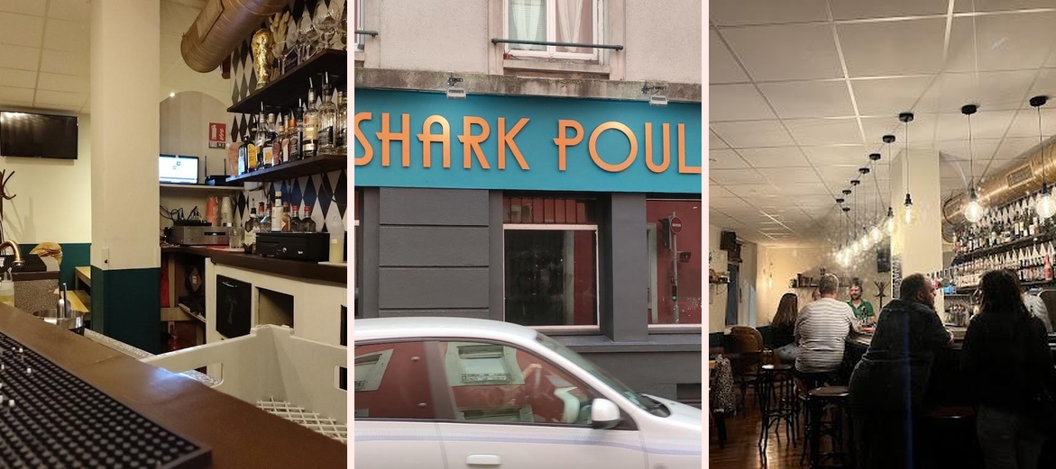 Shark Poule - Photo 2